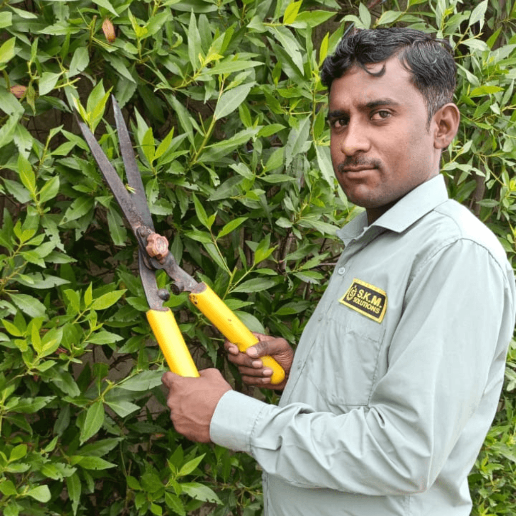Gardener Services